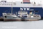 ID 5313 SHIELDHALL (1955/1972grt/IMO 5322752) built by Lobnitz and Co of Renfrew, Scotland to carry treated sewage, she is today one of the worlds largest steam-powered, general-cargo, passenger ships...